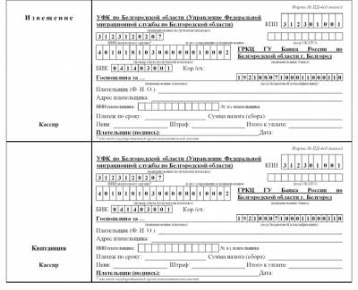 протокол ано образец